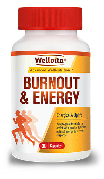 Wellvita Burnout & Energy