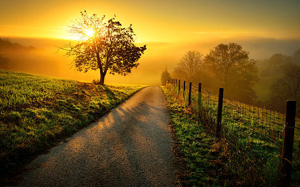 How Much Vitamin D Do I Need?
