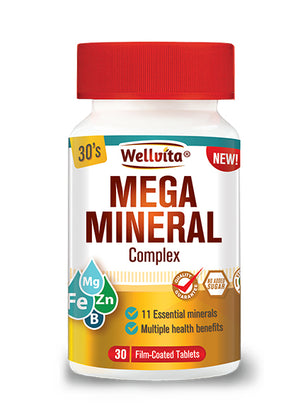 Wellvita Mega Mineral Complex