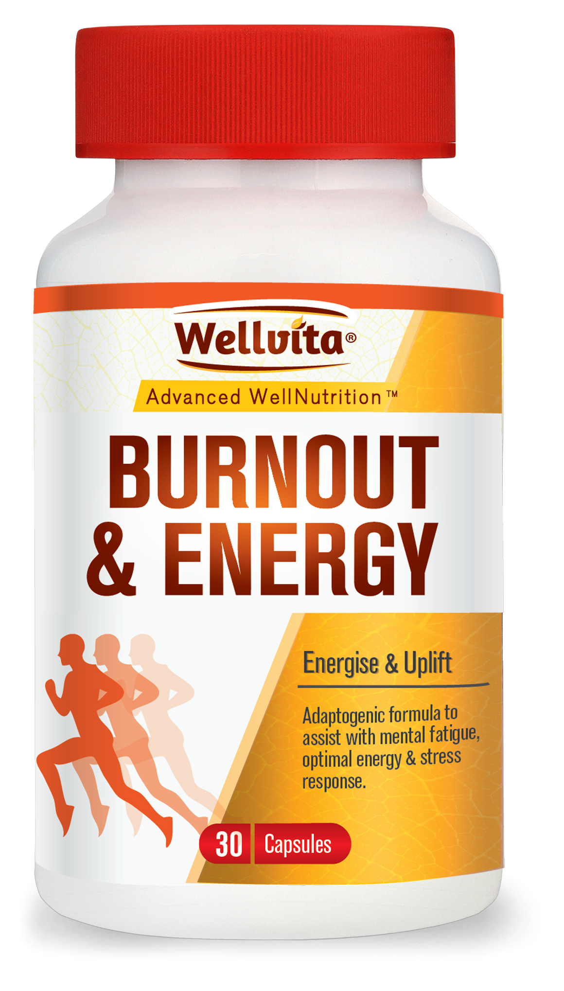 Wellvita Burnout & Energy