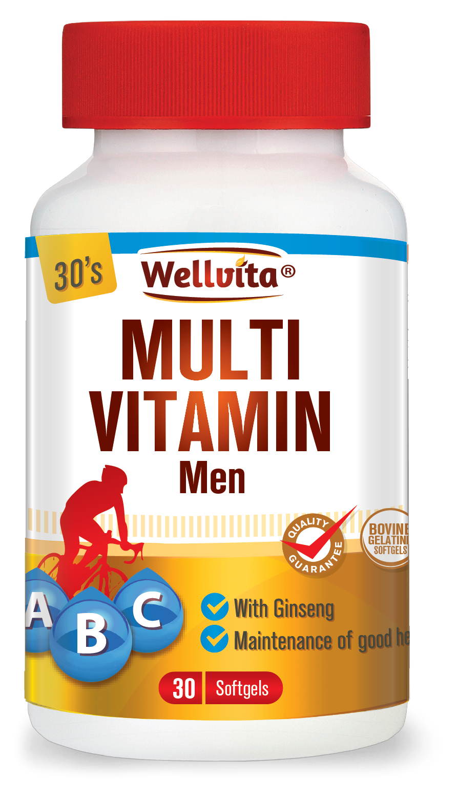 Wellvita Multivitamin Men