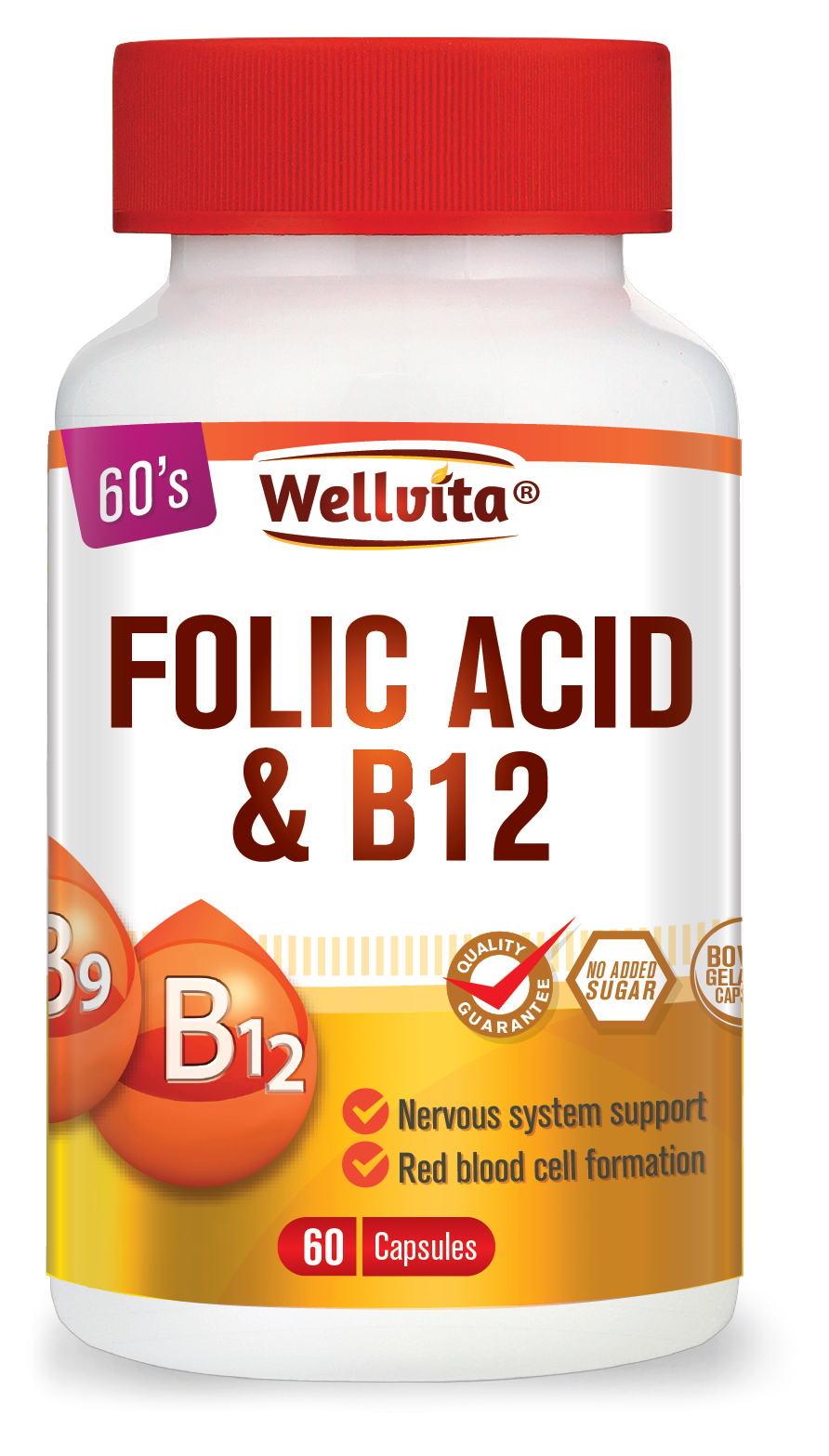 Wellvita Folic Acid & B12