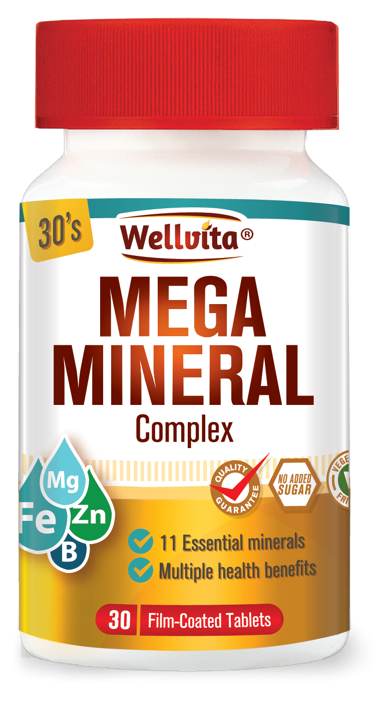 Wellvita Mega Mineral Complex