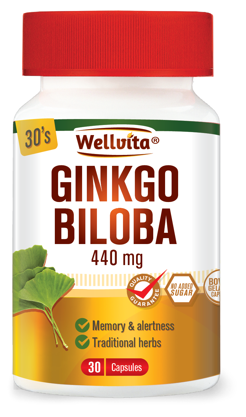 Wellvita Ginkgo Biloba