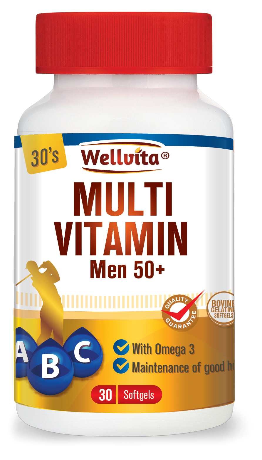 Wellvita Multivitamin Men 50+
