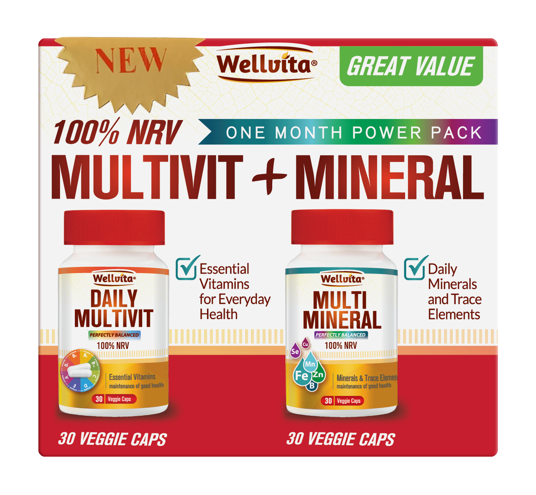 100 NRV Multivitamin + Multimineral Value Pack WELLVITA Wellvita
