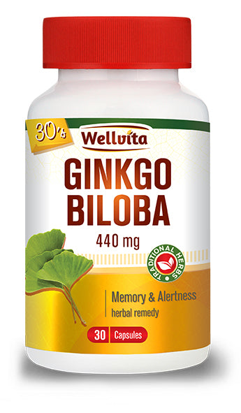 Wellvita Ginkgo Biloba